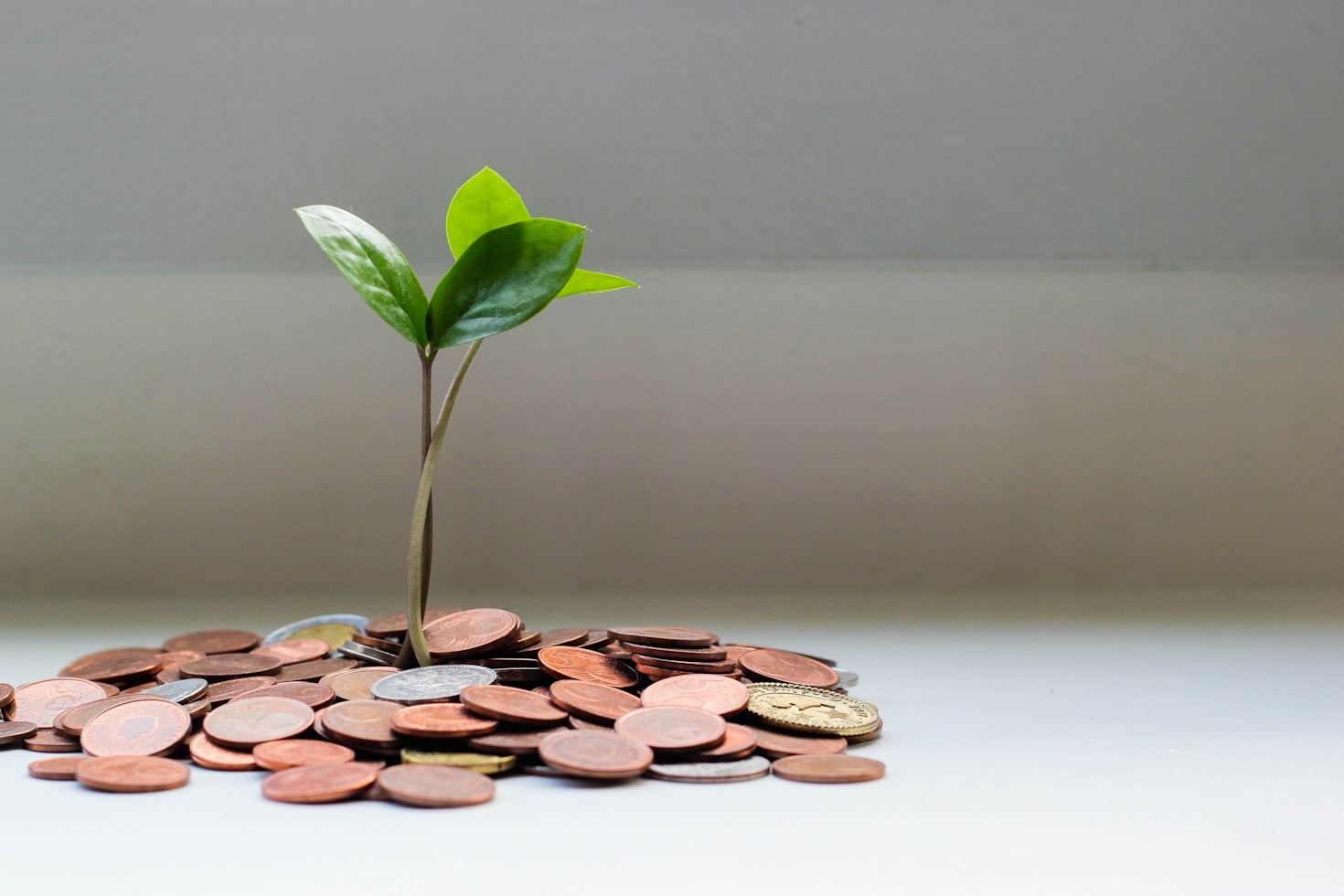 How Inflation Is Reshaping Household Budgets Today